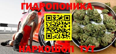 apvp Шелехов