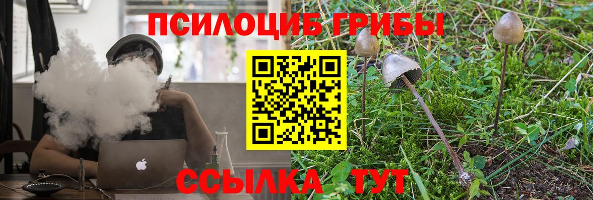 Галлюциногенные грибы Cubensis Королёв