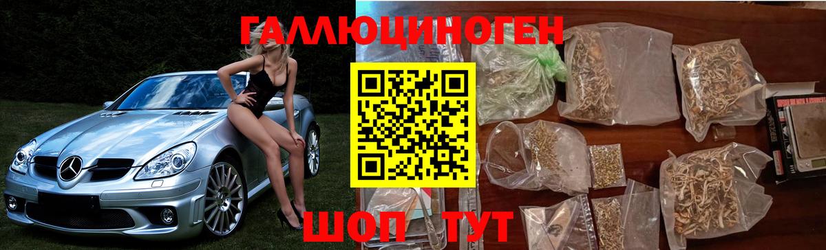 Псилоцибиновые грибы Psilocybe  Вход с VPN  Королёв 